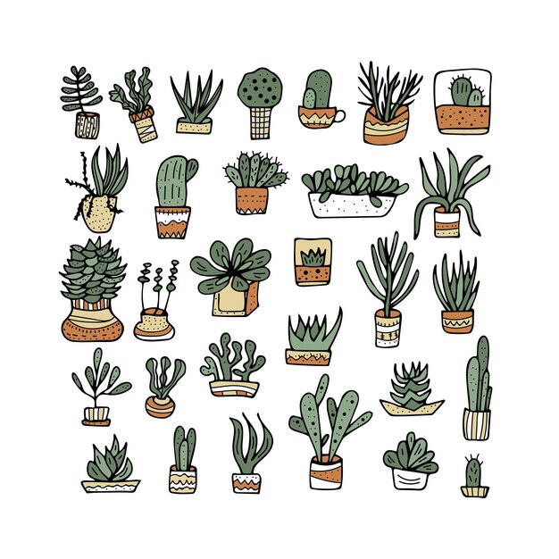 Suculentas en estilo doodle Ilustración vectorial