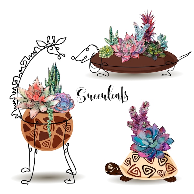 Suculentas en macetas decorativas. Conjunto.