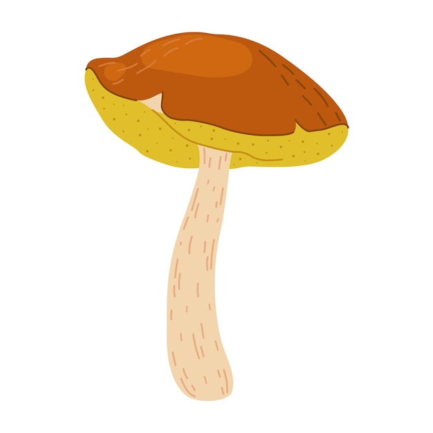 Suillus hongo hongo comestible estilo plano de dibujos animados aislado en el blanco