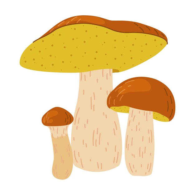 Suillus hongo hongo comestible estilo plano de dibujos animados aislado en el blanco