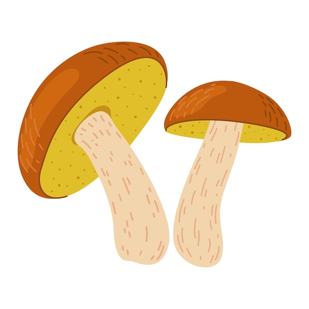Suillus hongo hongo comestible estilo plano de dibujos animados aislado en el blanco