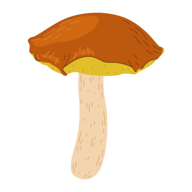 Suillus hongo hongo comestible estilo plano de dibujos animados aislado en el blanco