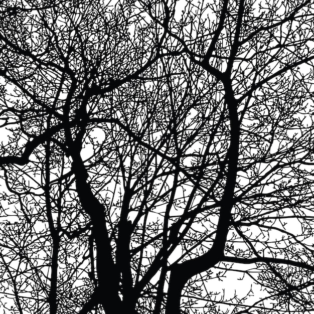Sulhouettes de ramas de árboles en invierno.