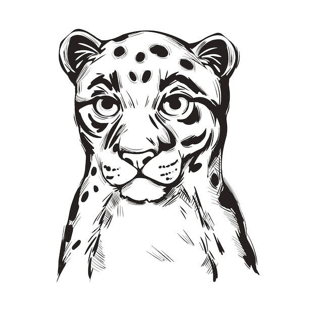 Sunda bebé leopardo nublado, retrato de bosquejo aislado de animales exóticos. Ilustración dibujada a mano.