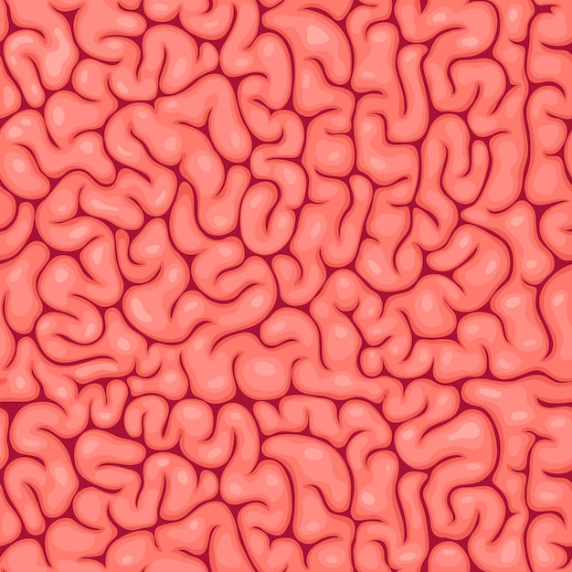 La superficie de los tejidos cerebrales se pliega de patrones sin fisuras