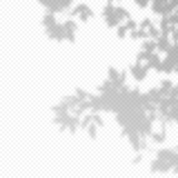 Superposición transparente de Vector realista borroneada sombra de hojas de rama. Elemento de diseño para presentaciones y maquetas. Efecto de superposición de la sombra del árbol.