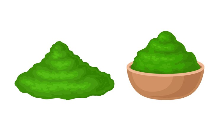 Vector suplemento dietético de espirulina en polvo de producto ecológico en ilustración vectorial de cuenco