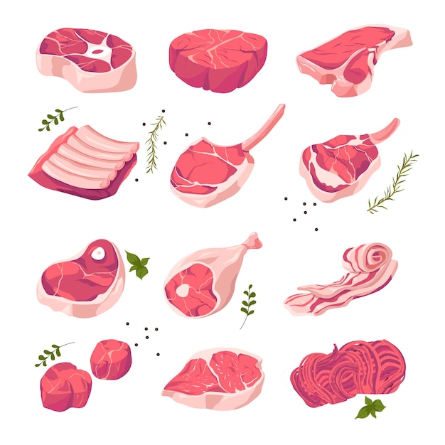 Vector surtido de diferentes tipos de carne de cerdo en la tienda