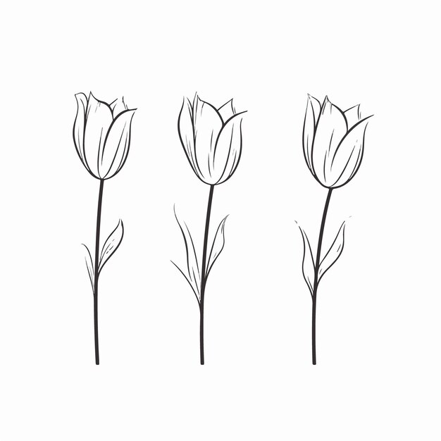 Surtido de diseños de vectores de tulipanes modernos y elegantes