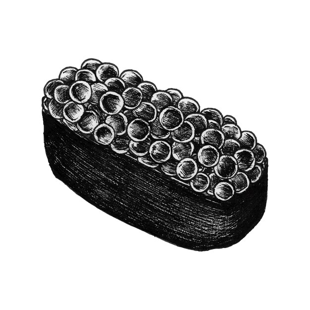 Sushi dibujado a mano