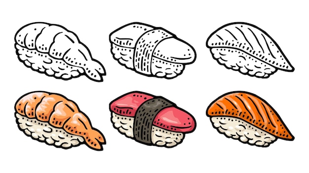 Sushi de tres tipos de nigiri con pescado y camarones con grabado vectorial vintage