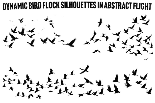 Swarm of Birds in Flight Seasonal Migration Silhouettes