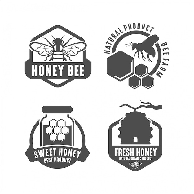 Sweet honey, las mejores colecciones de logotipos de productos