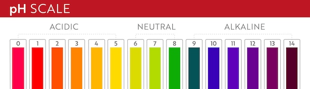 Tabla de escala de valores de PH. Infografía de equilibrio ácido-base. Cartel de educación