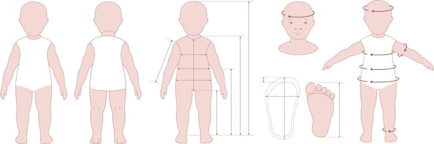 Tabla de medición del cuerpo infantil Medidas del cuerpo del bebé para coser ropa Infografías vectoriales