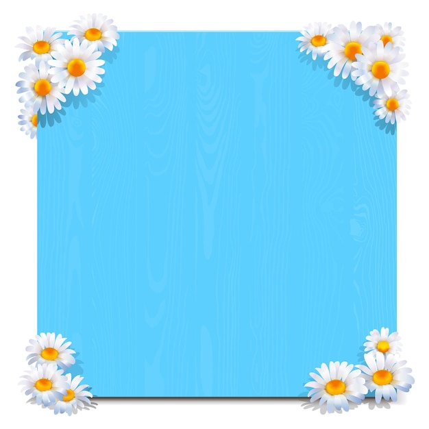 Tablero de madera azul vectorial con camomiles