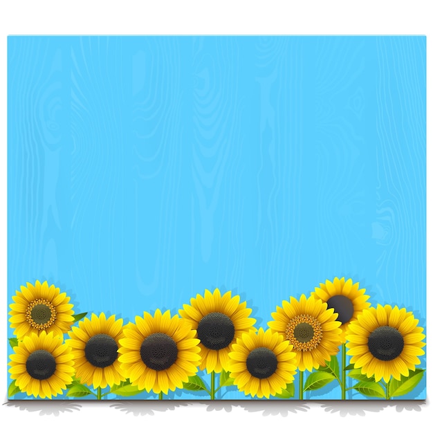 Tablero de madera azul vectorial con girasoles