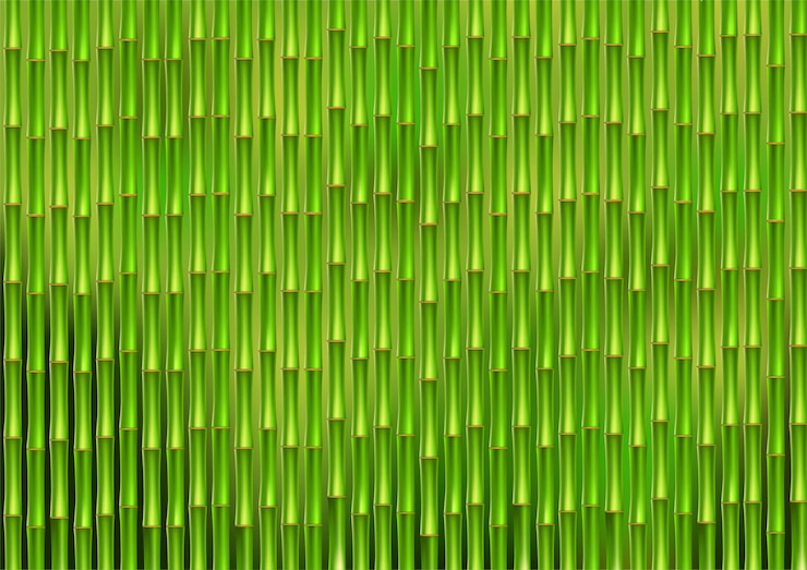 Vector tallos de bambú verde.