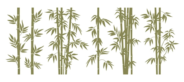 Tallos de bambú verdes siluetas de bosque de la selva ramas de bambú con hojas decorativas brotes de bambú planos conjunto de ilustraciones vectoriales árboles de bambú en blanco