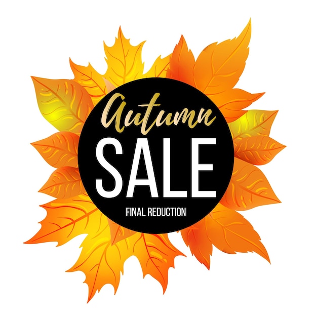 Tamplate de banner de venta de otoño. Folleto de hojas de otoño, cartel, tarjeta, diseño de etiquetas. Ilustración de vector EPS10