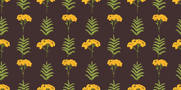 Tansy. un patrón de plantas con flores amarillas. ilustración botánica sobre fondo oscuro.