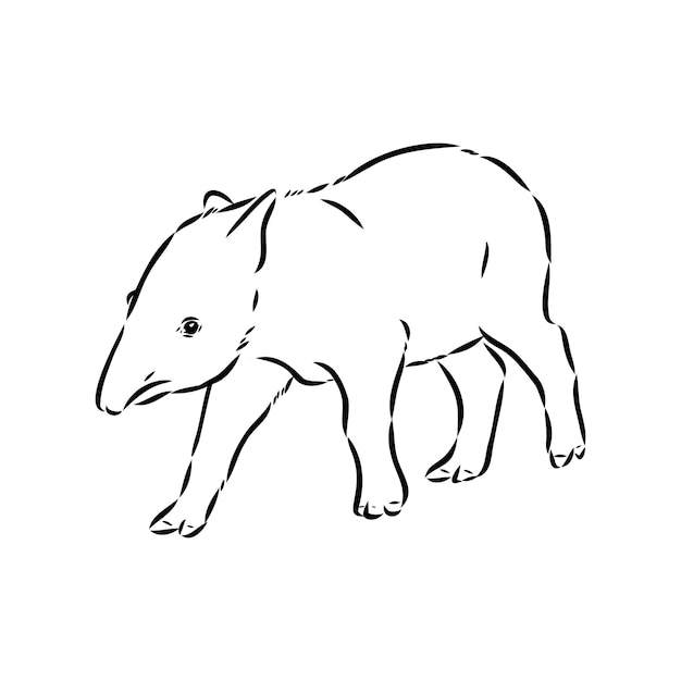 Tapir animal boceto grabado vector ilustración cero tablero estilo imitación mano dibujada imagen