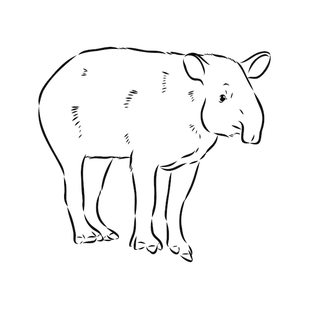 Tapir animal boceto grabado vector ilustración cero tablero estilo imitación mano dibujada imagen