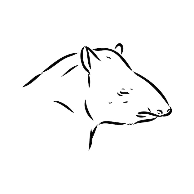 Vector tapir animal boceto grabado vector ilustración cero tablero estilo imitación mano dibujada imagen