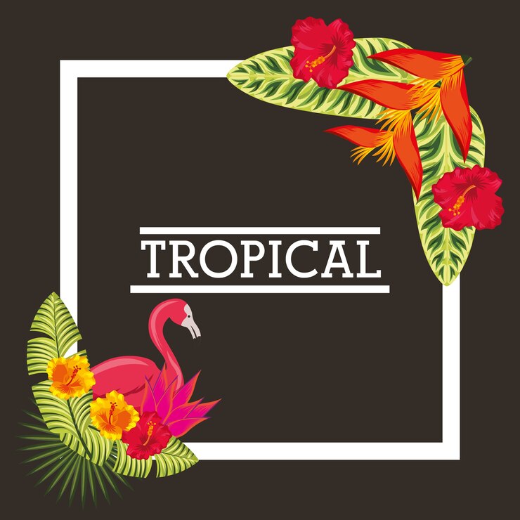 Vector tarjeta de animal de hojas tropicales