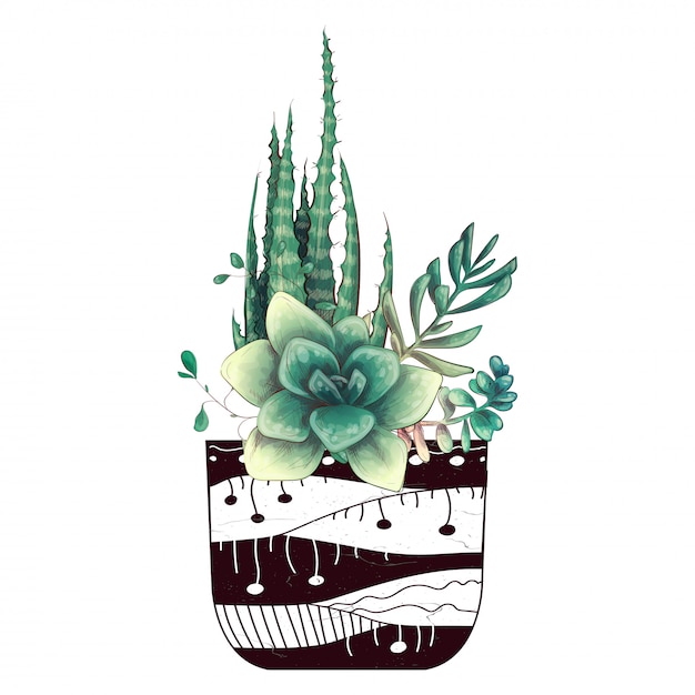 Vector tarjeta con cactus y conjunto de suculentas.