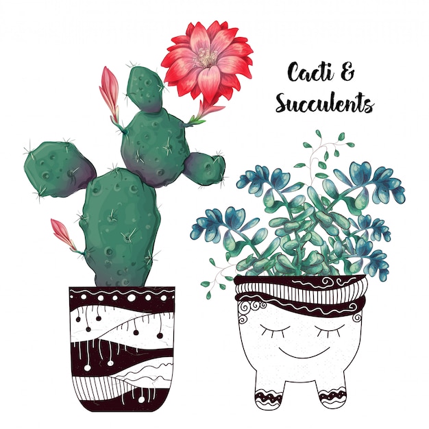 Tarjeta con conjunto de cactus y suculentas.