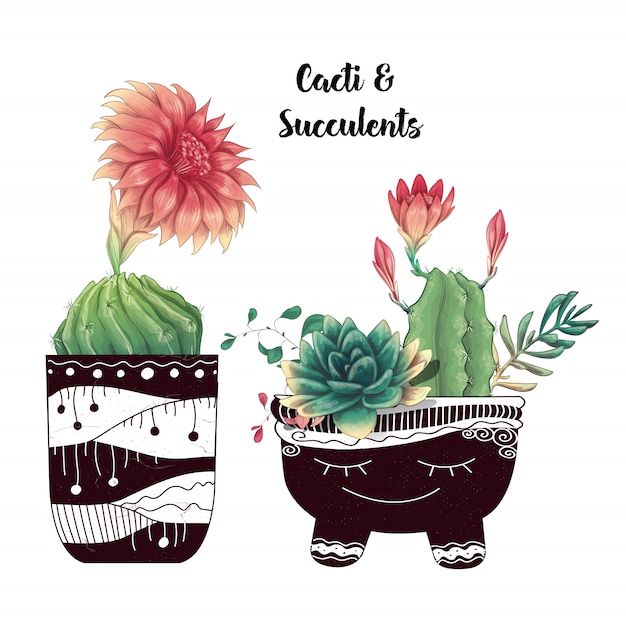 Vector tarjeta con conjunto de cactus y suculentas.