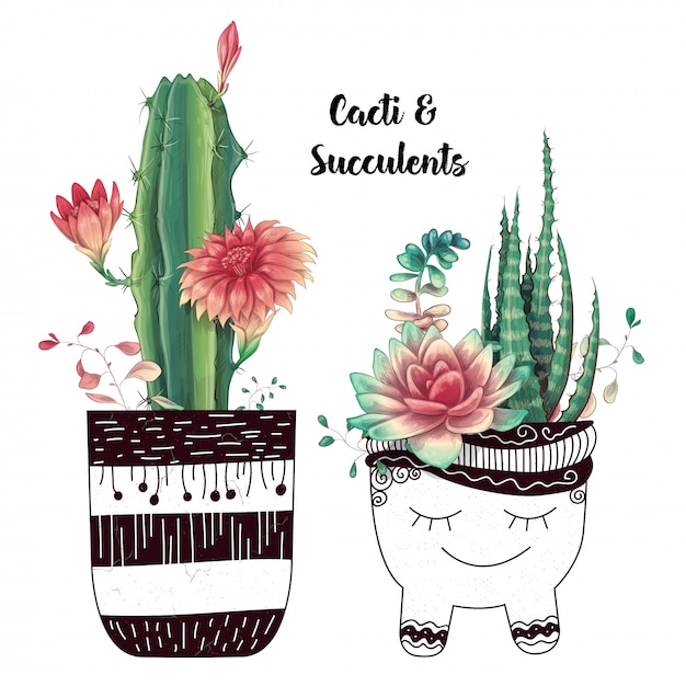 Vector tarjeta con conjunto de cactus y suculentas.