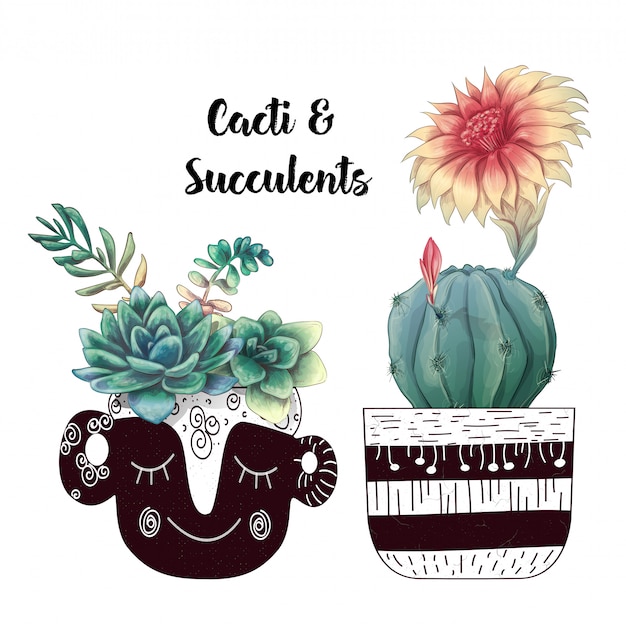 Vector tarjeta con conjunto de cactus y suculentas.