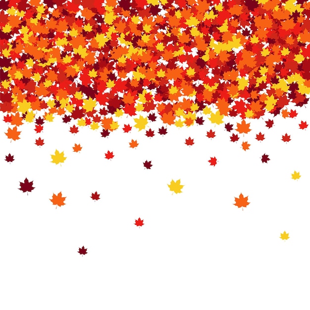 Tarjeta de felicitación de otoño con hojas de arce esparcidas Cartel conceptual de diseño en colores tradicionales de otoño