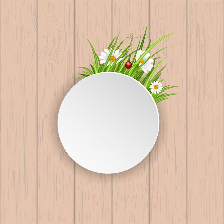 Vector tarjeta de felicitación de primavera con manzanilla en flor