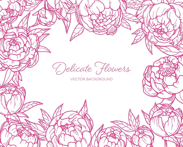 Tarjeta de flores con flor de peonía fondo enmarcado floral japonés telón de fondo de flores de primavera hermosos brotes botánicos dibujo grabado detallado planta de jardín magnífica ilustración vectorial dibujada a mano