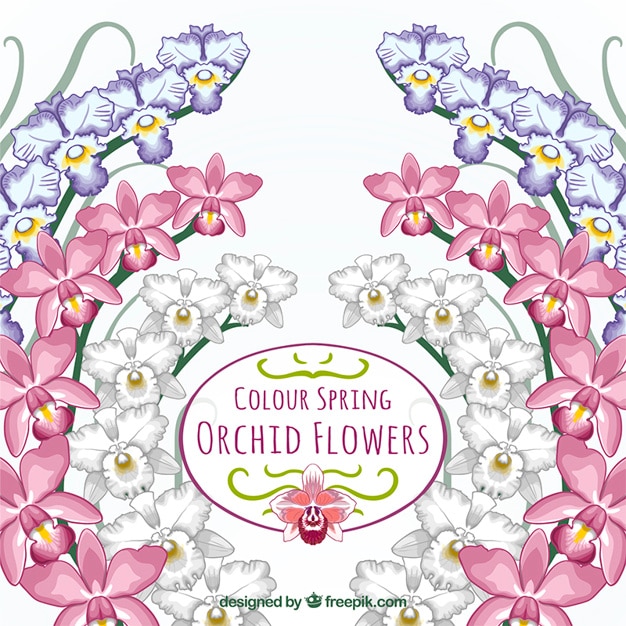 Vector tarjeta de orquídeas de colores