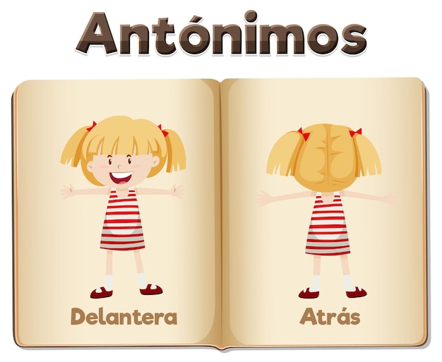 Tarjeta de palabras antónimas Delantera y Atras significa anverso y reverso.