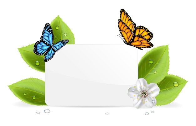 Tarjeta de papel con mariposas