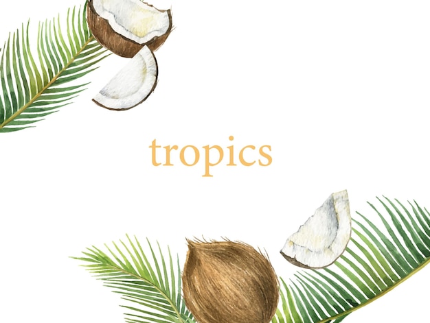 Tarjeta de vector de acuarela con ramas de coco y palma