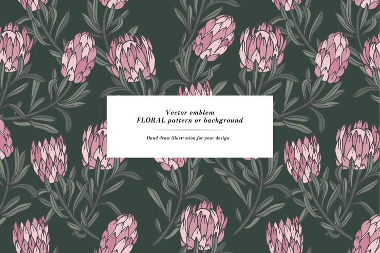 Tarjeta vintage con flores de protea Corona floral Marco floral para floristería con diseños de etiquetas Tarjeta de felicitación floral de verano Fondo floral para envases de cosméticos