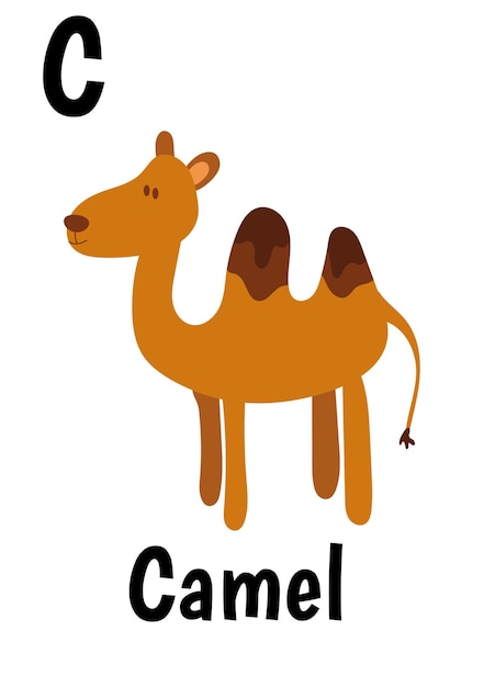 Tarjetas de animales del alfabeto para niños con camello