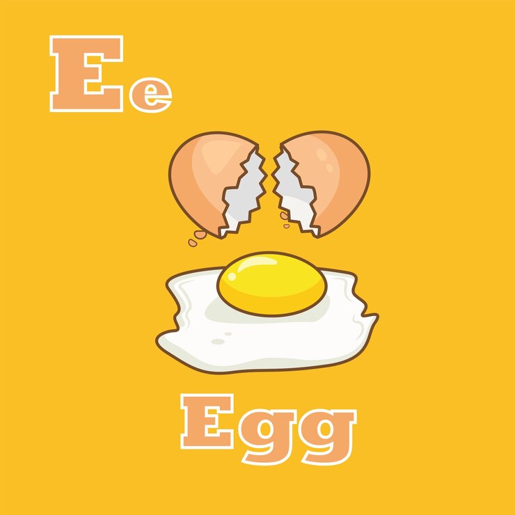 Tarjetas de dibujos animados de Egg Vector Illustration para niños que aprenden el alfabeto