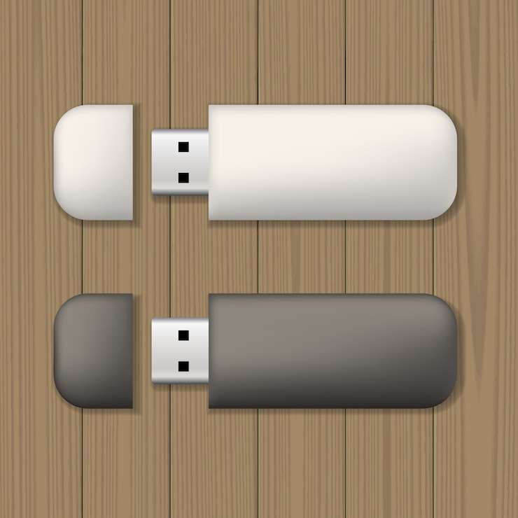 Vector tarjetas de memoria usb
