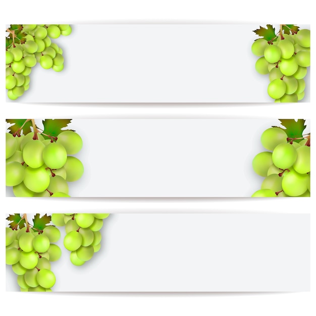 Tarjetas o etiquetas con uvas realistas