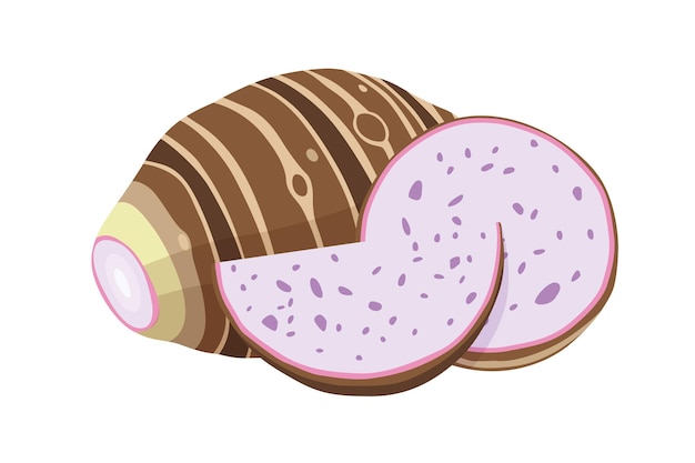 Taro aislado en fondo blanco estilo de dibujos animados vectorial