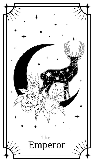 Image tagged with misticosonline misticos tarot on Tumblr