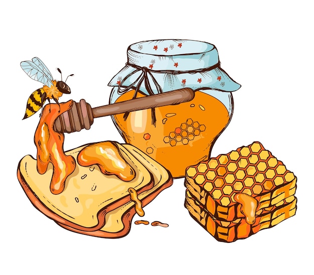 Vector tarro con miel y panales de abeja y trozos de pan boceto dibujado a mano ilustración vectorial aislado