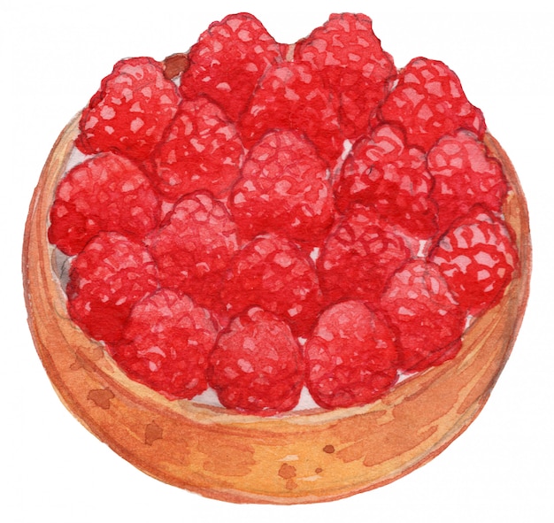 Tarta de frambuesa dibujo acuarela ilustración